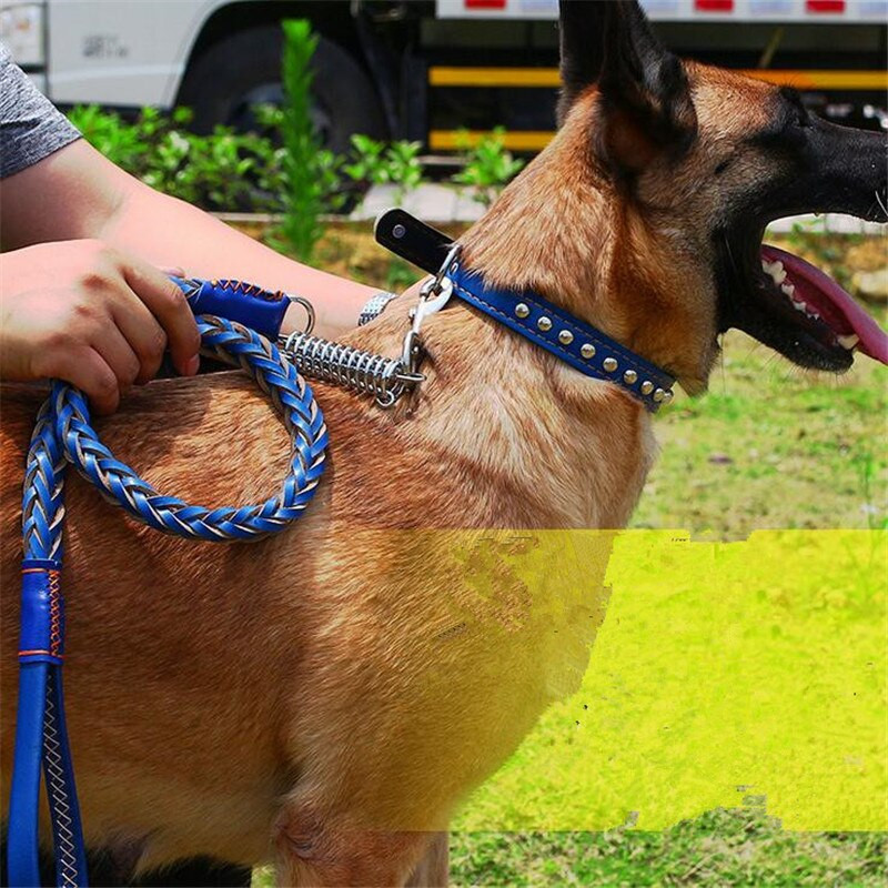 Seturi de lesă pentru guleră durabilă pentru câini Lant original din piele de vacă pentru animale de companie, 4 culori, cureaua pentru gât pentru câini mici/medii/mari Satsuma