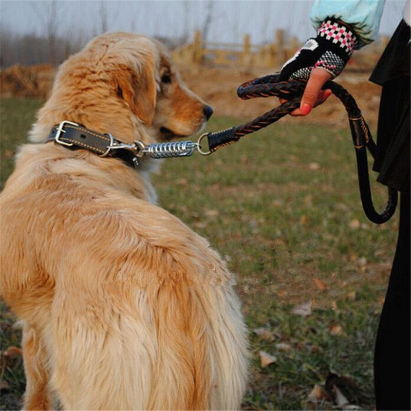 Seturi de lesă pentru guleră durabilă pentru câini Lant original din piele de vacă pentru animale de companie, 4 culori, cureaua pentru gât pentru câini mici/medii/mari Satsuma