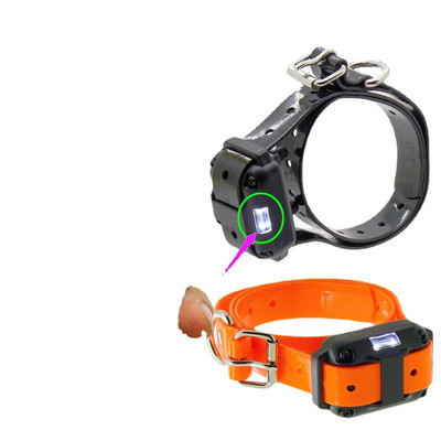 2020 Aukštos kokybės 800 m nuotolinio šunų dresavimo antkaklis, įkraunamas ir atsparus vandeniui KPHRTEK KP-DT01 880 smūgio vibracija 34e 2022 karštas