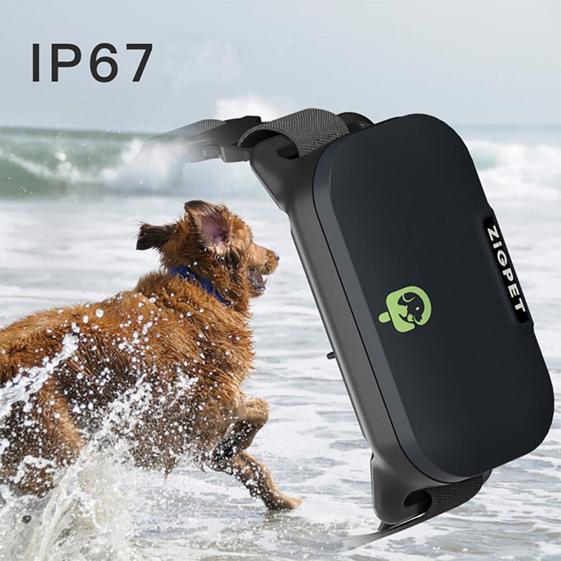 Επαναφορτιζόμενο τηλεχειριστήριο One-For Two Αδιάβροχο ηλεκτρικό ηλεκτρικό αντικραδασμικό σύστημα αναστολής κολάρου για σκύλους