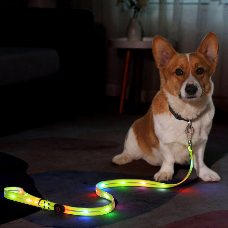 Valgustavad koerarihma tuled ööseks jalutamiseks USB laetav veekindel Led koerarihm Valgustatud jalutusrihmad lemmikloomade ööohutuseks