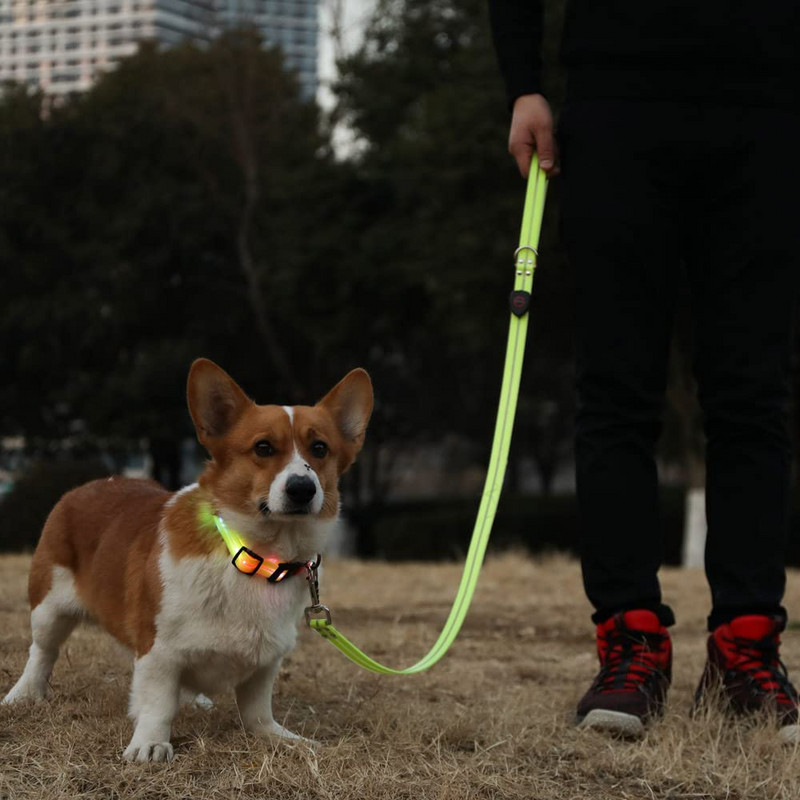 Valgustavad koerarihma tuled ööseks jalutamiseks USB laetav veekindel Led koerarihm Valgustatud jalutusrihmad lemmikloomade ööohutuseks