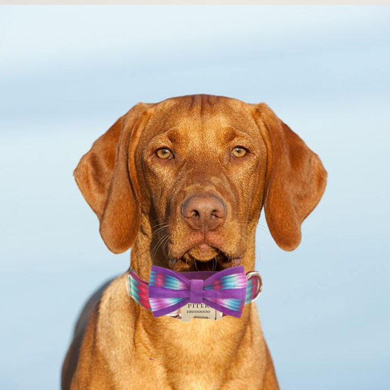 Flori violete Piont Câini Colorat Minunat Animal de companie Respirabil Guler de frânghie de tracțiune Arc Nume personalizat Gravare