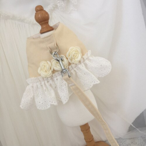 Pisici Câini Curele pentru piept din dantelă Veste anti-rupere Frânghie de tracțiune Merge pisică Frânghie pentru câine Câine de talie mică Tracțiune pentru piept și spate Îmbrăcăminte