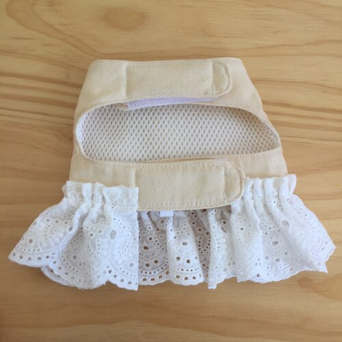 Pisici Câini Curele pentru piept din dantelă Veste anti-rupere Frânghie de tracțiune Merge pisică Frânghie pentru câine Câine de talie mică Tracțiune pentru piept și spate Îmbrăcăminte