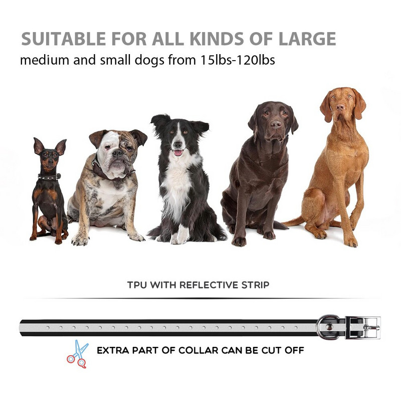 MASBRILL Ηλεκτρικό κολάρο εκπαίδευσης σκύλων IPX7 αδιάβροχο επαναφορτιζόμενο κολάρο κατοικίδιων ζώων αξεσουάρ για σκύλους