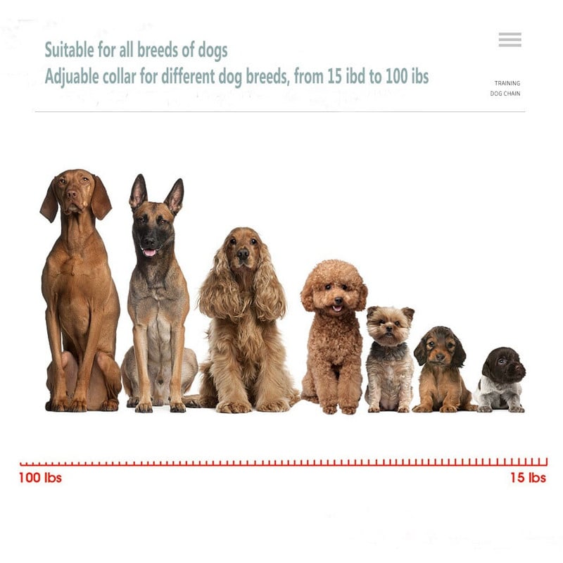 Για 2 σκύλους 1000M αδιάβροχο κολάρο ηλεκτρικού χτυπήματος Επαναφορτιζόμενη συσκευή κατά του γαβγίσματος πολλαπλών λειτουργιών