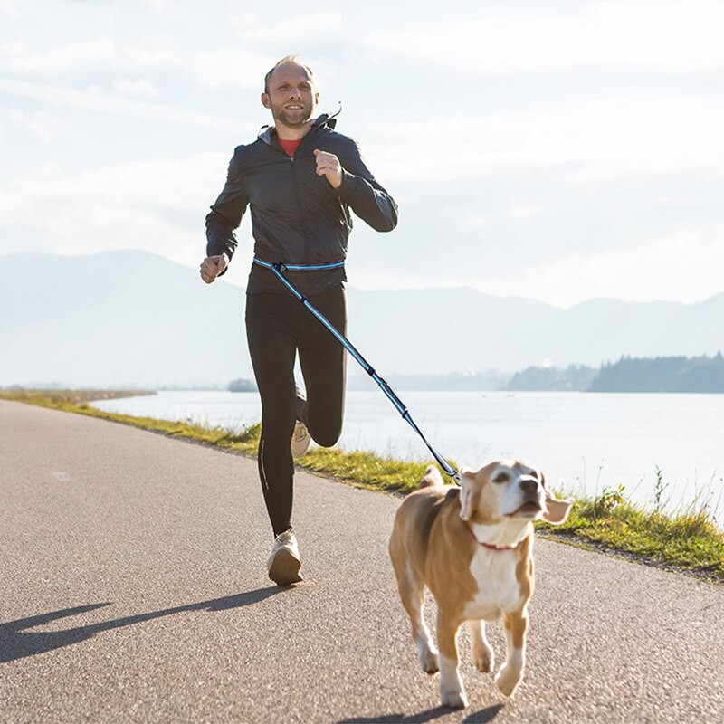Υψηλής αντοχής αναδιπλούμενο λουρί σκύλου χωρίς χέρια για τρέξιμο, ρυθμιζόμενο αντανακλαστικό λουρί σκύλου για μεσαίου μεγέθους και μεγάλους σκύλους
