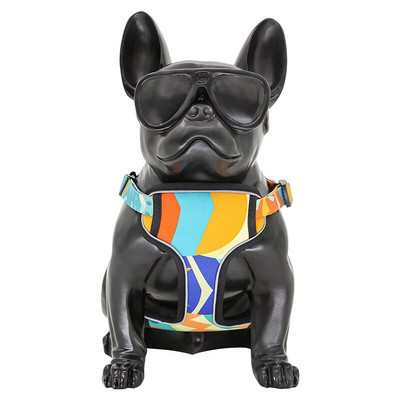 Σετ λουριού για λουρί και λουρί για λουρί για σκύλος σκύλος λουρί για σκύλους για μικρούς μεγάλους σκύλους αξεσουάρ