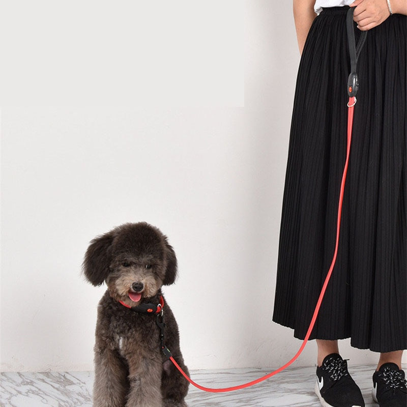 Ohutus Led Flash koeraplii nailon koerarihm Led Glow koera kaelarihm kutsika kaelarihm ja jalutusrihma komplekt USB laetav helendav kaelarihm koerale