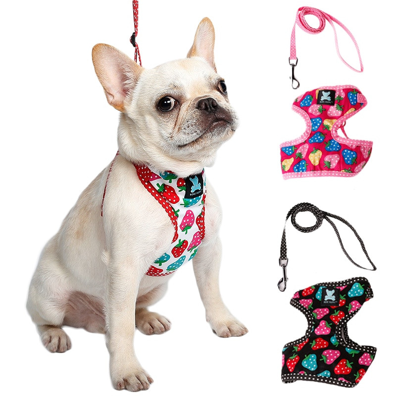 Ham pentru cățeluș pentru câini, model căpșuni, moale, respirabil, pentru buldog francez, seturi de lesă pentru pisici, câini mici SL