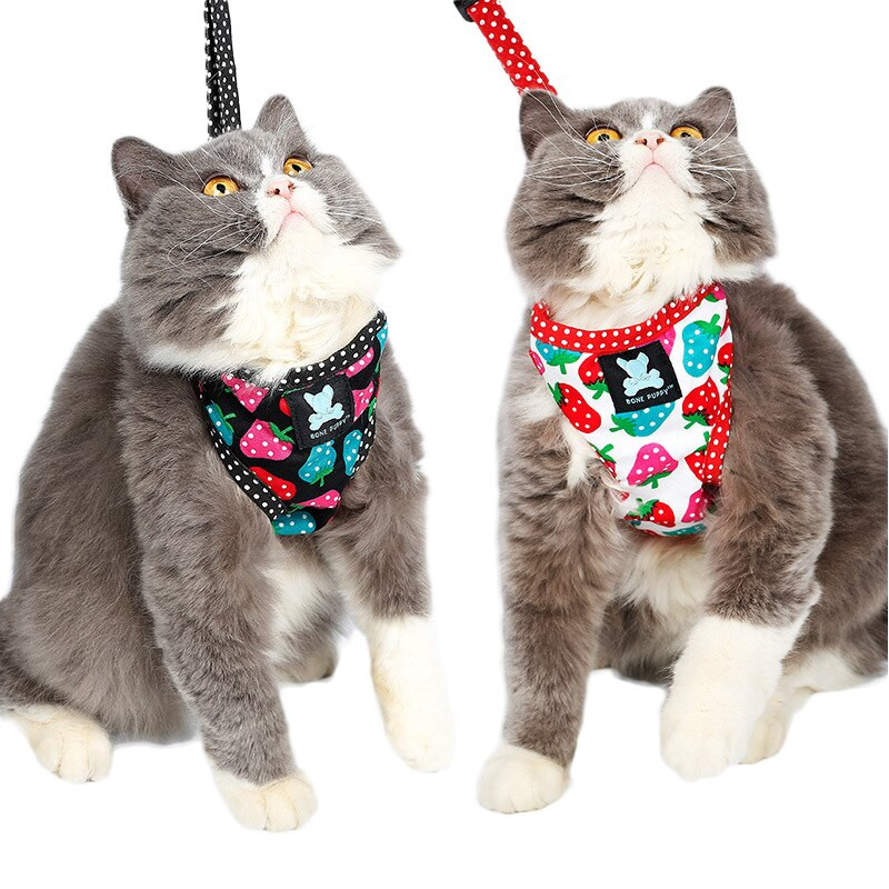 Ham pentru cățeluș pentru câini, model căpșuni, moale, respirabil, pentru buldog francez, seturi de lesă pentru pisici, câini mici SL