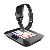 2 în 1 zgardă electrică fără fir pentru animale de companie pentru dresaj pentru câini zgarda reîncărcabilă impermeabilă pentru animale de companie 4 moduri de lucru