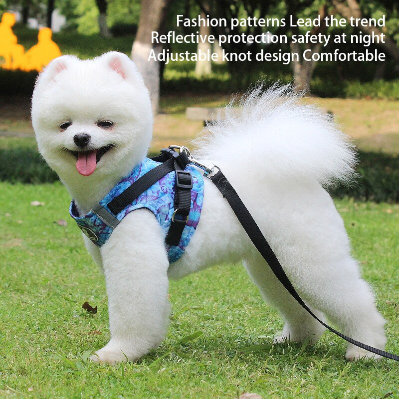 Lemmiklooma rinnarihma komplekt Kaelarihm koertele Aksessuaarid Koeravõrgust vest koerarakmed Kaelarihm Rihm Komplektid Veojõud Reguleeritav helkurrihm