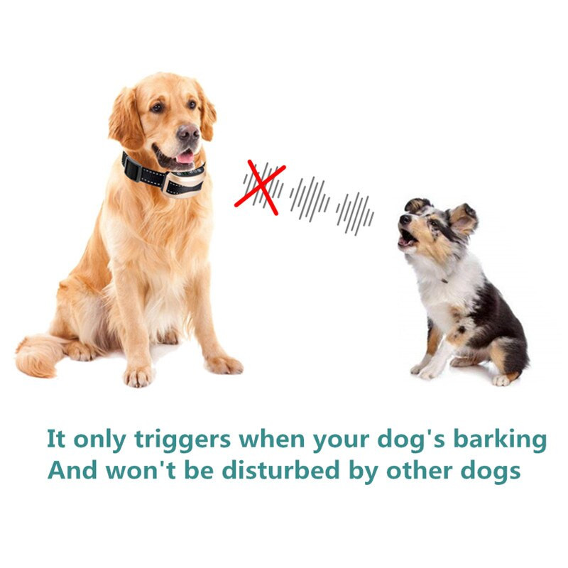 Επαναφορτιζόμενο κολάρο κατά του γαβγίσματος σκύλου Αδιάβροχο κολάρο ηλεκτροσόκ για κουτάβι Συσκευή ελέγχου γαβγίσματος Εξοπλισμός εκπαίδευσης για κατοικίδια