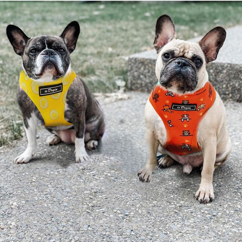 Ham pentru câini Vestă în aer liber Plumb pentru animale de companie Lesă pentru câine Pudel Bichon Schnauzer Teckel Pug Bulldog francez Corgi Produse pentru câini