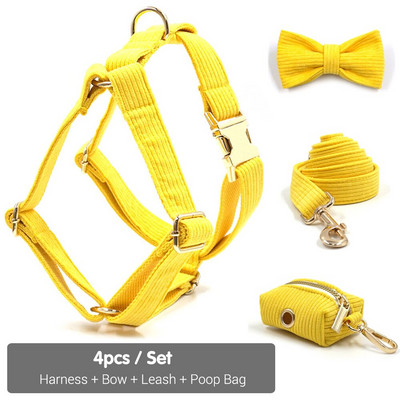 Κίτρινο Κοτλέ εξατομικευμένο λουρί για μικρά σκυλιά Πολυτελείς χρυσές πόρπες Ρυθμιζόμενο κολάρο σκύλου με λουρί με λουρί Shitzu