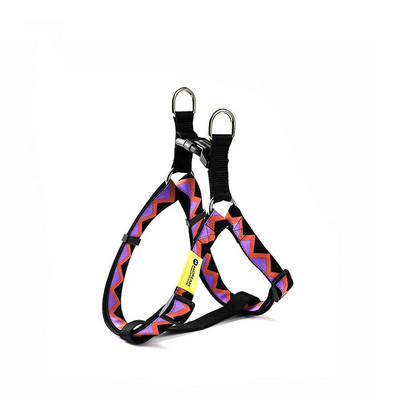 Σετ λουριών με λουρί για σκύλους ποπ τσάντες 5 χρωμάτων Πολύχρωμα επώνυμα προϊόντα Ιμάντας στήθους σε σχήμα Υ για κουτάβι