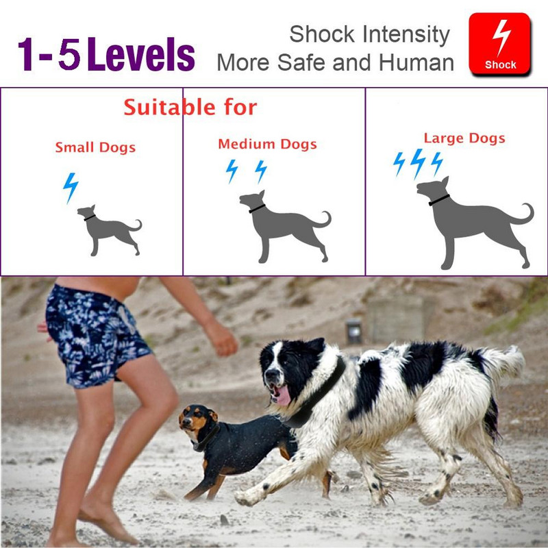 Tasuta kohaletoimetamine, salvestav hääl koera haukumise kaelarihm – 5-tasemeline staatilise põrutusega haukumiskontrolli kaelarihm, vihmakindel ja laetav BS661S