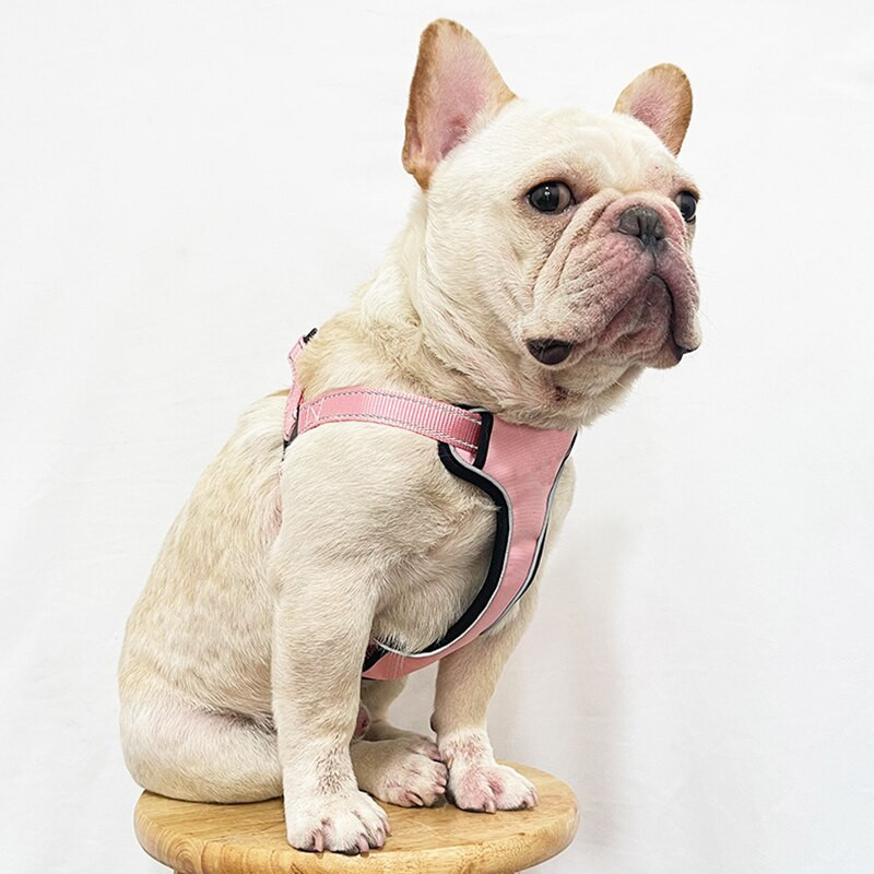 Πολυτελές ρυθμιζόμενο SL γιλέκο κατοικίδιων για εξωτερικούς χώρους Μόδα ροζ κοριτσάκι λουρί για σκύλο με σετ λουριών