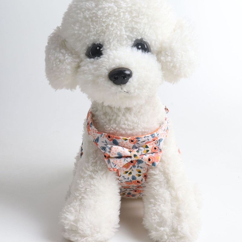 CAWAYI KENNEL Ζωγραφιά κατοικίδιων ζώων + σετ λουριών Εκπαίδευση Οδηγοί βάδισης για μικρές γάτες σκύλους Σετ λουλουδιών λουλουδιών λουλουδιών λουλουδιών