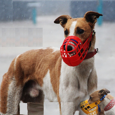 Pet Dog Muzzle Breathable Basket Muzzles Μεγάλα σκυλιά σταματούν να δαγκώνουν γαβγίζοντας μασώντας για Greyhound Gree Whippet Dogs προμήθειες