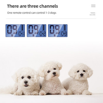 800 м електронен нашийник за обучение на кучета Стоки за домашни любимци Шокиращи продукти за кучета Аксесоари Нашийник против лай Статии за домашни любимци
