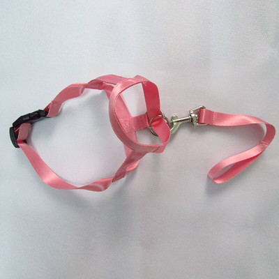 Diržas, reguliuojamas snukis, šuns apynasris.