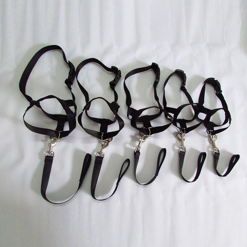 Diržas, reguliuojamas snukis, šuns apynasris.