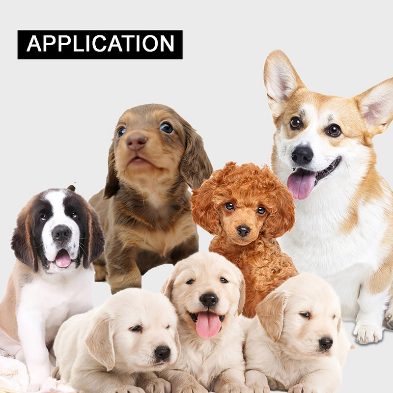 Κολάρο γαβγίσματος σκύλου Έξυπνο κολάρο κατά του φλοιού σκύλου Ρυθμιζόμενο κολάρο διακοπής γαβγίσματος σκύλου Συσκευή ελέγχου ηλεκτρικού σοκ Δόνησης Ηχητικό σήμα