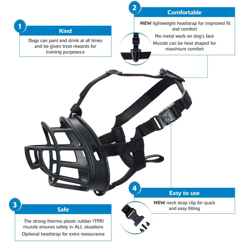Reguleeritav koera koon Pehme silikoonist hingav võrk Tugev korv Väike ja suur koera suu koonud Lemmiklooma treenimise tarvikud koer