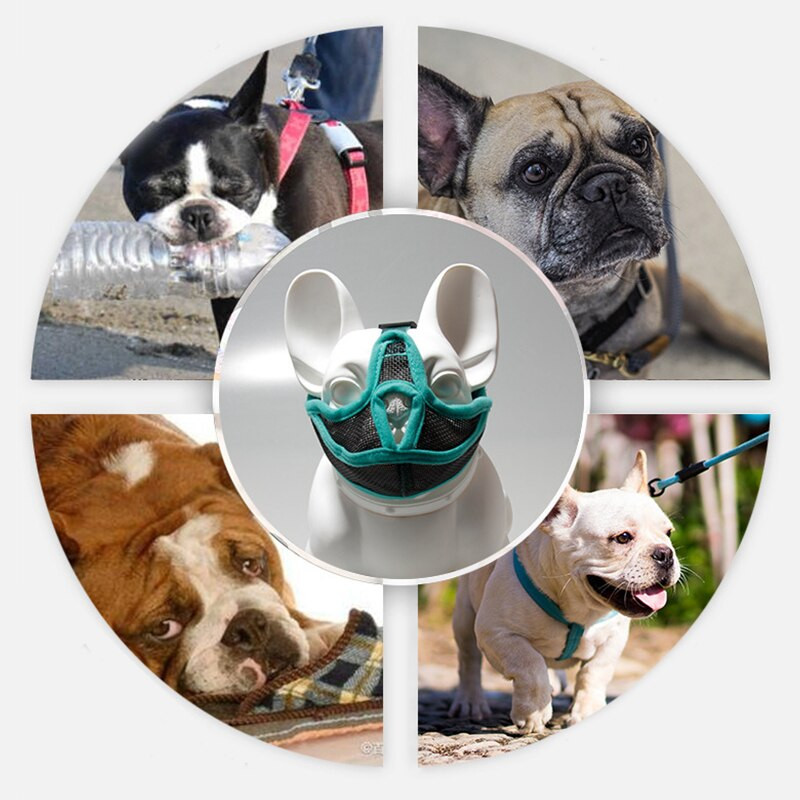 Ρυθμιζόμενη μάσκα για σκύλους κατοικίδιων ζώων.