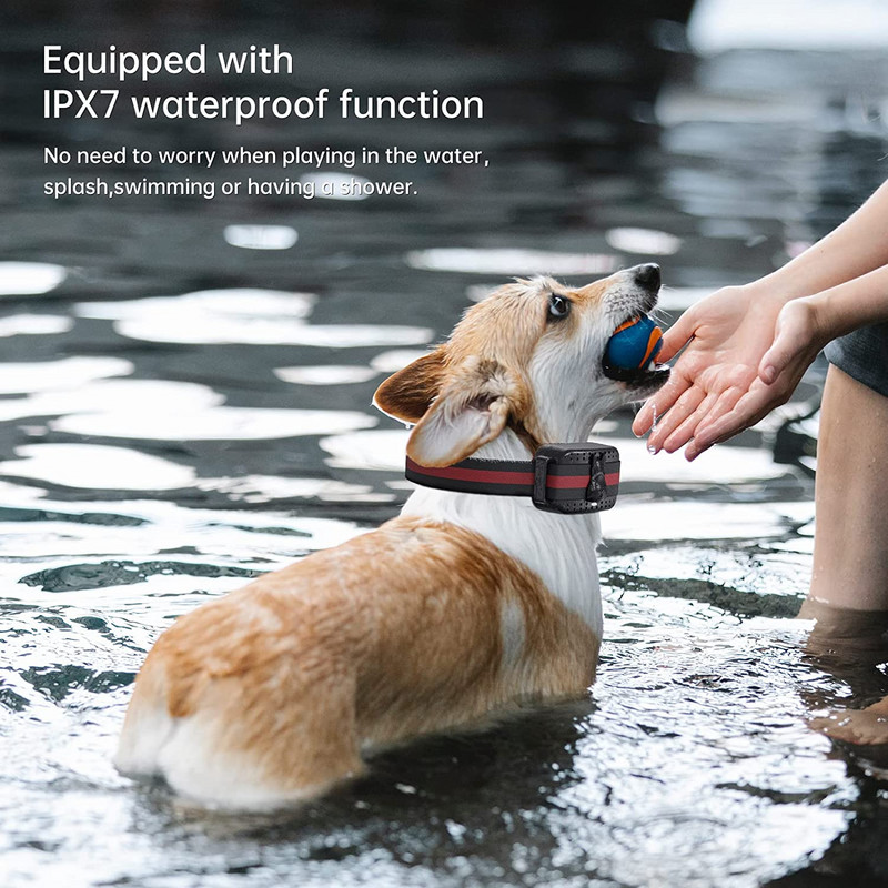 Περιλαίμιο εκπαίδευσης σκύλων εξ αποστάσεως Ηλεκτρονικά κολάρα αδιάβροχης επαναφορτιζόμενης μπαταρίας έως 1000 πόδια Εύρος ελέγχου