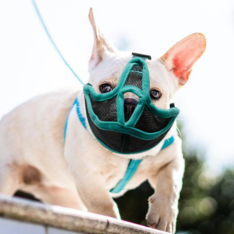 1 tk Lemmiklooma võrgusilma suu koon reguleeritav hingav haukumisvastane hammustusvastane närimiskoon Lemmikloomad tarvikud tarvikud klõpsuga reguleerimine
