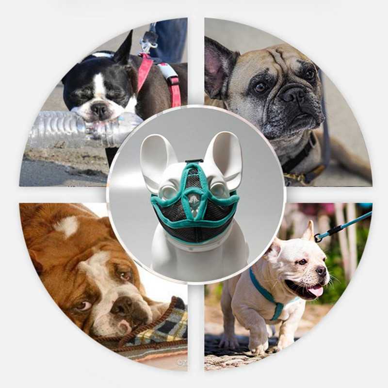 1 tk Lemmiklooma võrgusilma suu koon reguleeritav hingav haukumisvastane hammustusvastane närimiskoon Lemmikloomad tarvikud tarvikud klõpsuga reguleerimine