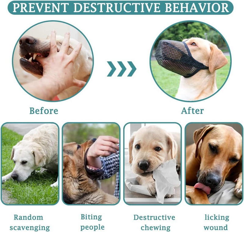 Lemmikloomakoerte koonud Pehme reguleeritav koon Koera-suu mask Hingav koon haukumise peatamiseks mõeldud treeningtarvikud koera suukaitse