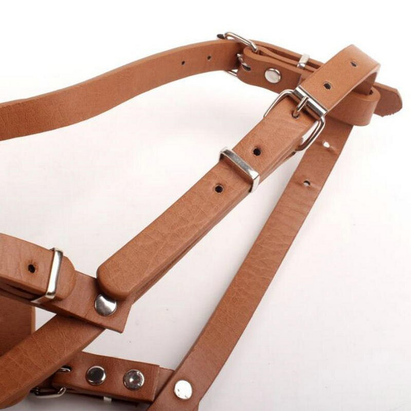 Κατά του δαγκώματος και κατά του γαβγίσματος μεγάλοι, μεσαίοι και μικροί κυνόδοντες ρυθμίζουν πώμα σκύλου προμήθειες κατοικίδιων μάσκα σκύλου στοματικό κάλυμμα σκύλου