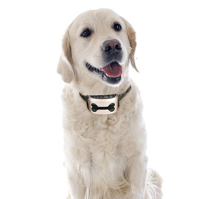 Pet Dog Ugatásgátló Nyakörv Control Train Újratölthető IP65 Vízálló Stop Ugatás Kutya Vibrációs Ultrahangos Nyakörvek