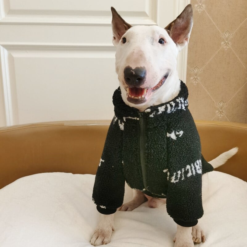 Φούτερ με κουκούλα σκύλου Μικρά μεγάλα μεγάλα ρούχα για σκύλους Χειμερινό παλτό για κατοικίδια Poodle Schnauzer Corgi Bull Terrier Στολή σκύλου Dropshipping