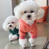 Φθινοπωρινά χειμωνιάτικα ρούχα για σκύλους Τσέπη για σκύλους με κουκούλα για μικρό μεσαίο παλτό σκύλου Σχεδιαστής σχεδιαστής μπουφάν για σκύλους κατοικίδια Ρούχα χειμωνιάτικο πουλόβερ πουλόβερ