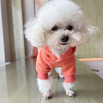 Есенно-зимни дрехи за кучета, джоб за кучета, суичър с качулка за кучета, яке за малки и средни кучета, дизайнерски дрехи за домашни кучета, зимен пуловер, риза, издърпана