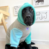 Talvised suured suured koerariided kapuutsiga mantel Corgi American Bully pitbull husky bullterjer labradori kuldse retriiveri koerte riided