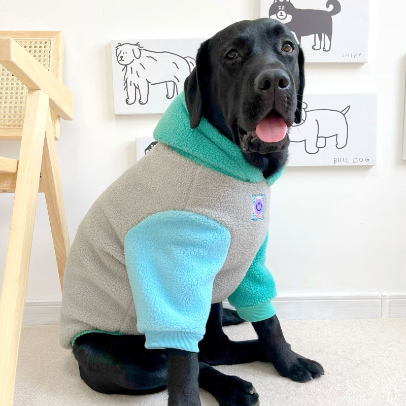 Talvised suured suured koerariided kapuutsiga mantel Corgi American Bully pitbull husky bullterjer labradori kuldse retriiveri koerte riided