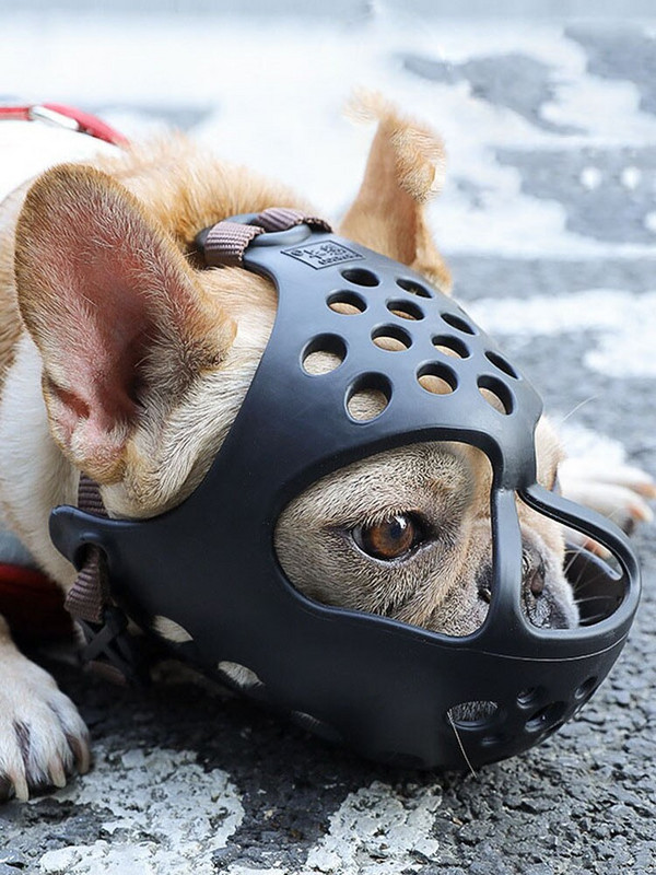 1 tk Lemmikloom, suur keskmine koer, reguleeritav mask koorega hambumus võrgust suu koonu hooldav närimiskoera hammustuse vastane treeningvahend