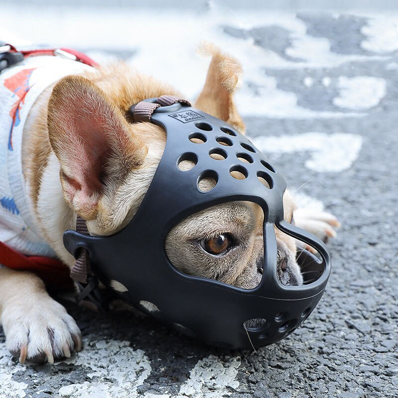 1 tk Lemmikloom, suur keskmine koer, reguleeritav mask koorega hambumus võrgust suu koonu hooldav närimiskoera hammustuse vastane treeningvahend