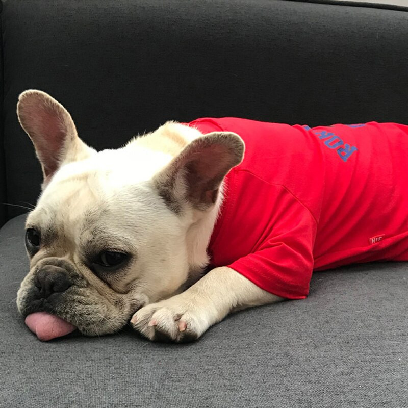 Vaba aeg Lemmik Vanem-laps Riietus Koer ja omanik Sobivad rõivad Bulldog Täiskasvanu Sama stiiliga riided Väikese koera kostüüm mängule