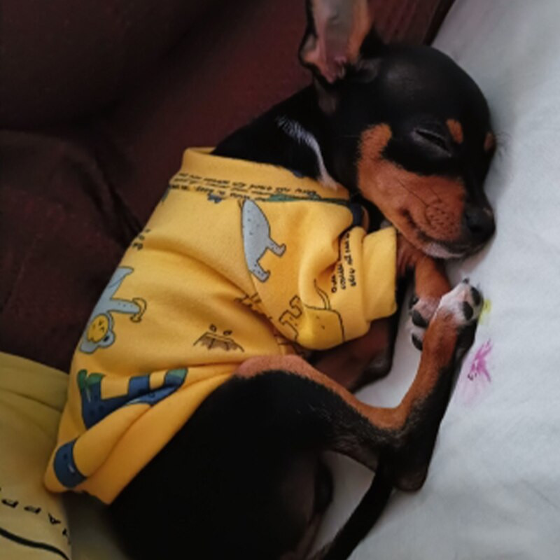 Haine pentru câini Xs pentru câini de talie mică Îmbrăcăminte pentru cățeluși pentru câini de talie mică Jachetă pentru băieți pentru pisici Personalizați cămăși pentru animale de companie pentru pug, chihuahua, buldog