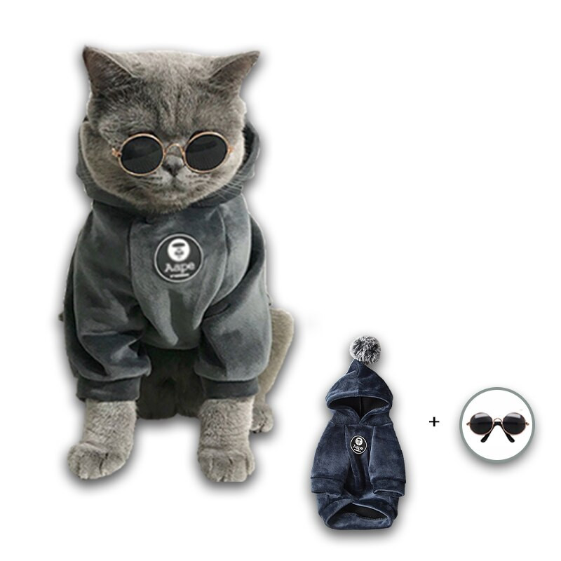 2022, design nou, modă, toamnă, iarnă, cățeluș, pisicuță, hanorace, potrivite, paltoane mici, medii, pentru animale de companie, costume pentru câini, pentru pisici, accesorii