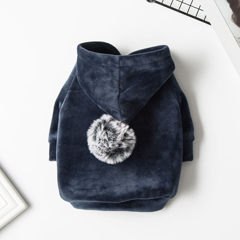 2022, design nou, modă, toamnă, iarnă, cățeluș, pisicuță, hanorace, potrivite, paltoane mici, medii, pentru animale de companie, costume pentru câini, pentru pisici, accesorii