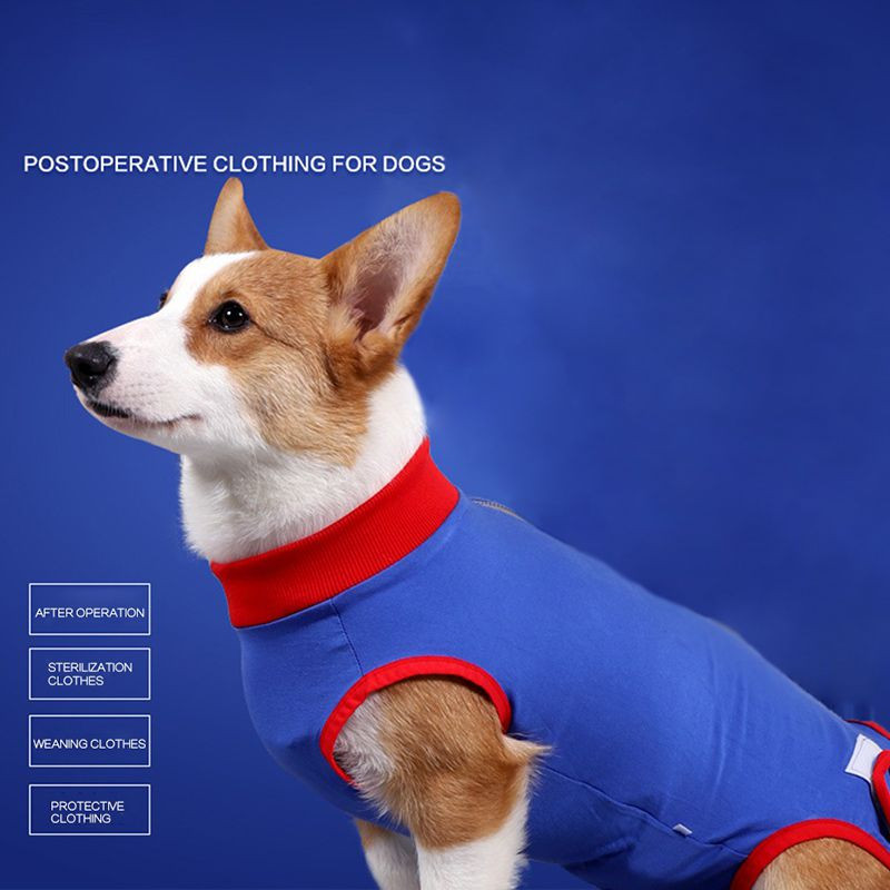 Haine pentru câini pentru pisici de companie Costum de recuperare chirurgicală Haine pentru îngrijirea postoperatorie pentru animale de companie Haine anti-ling pentru animale de companie Costum pentru înțărcare pentru câini